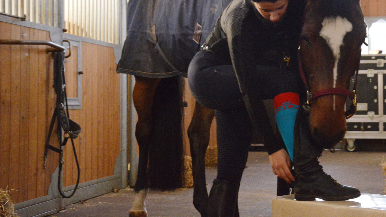Horse Riding Socks